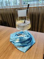 zur Belohnung ein Hugo, ein Abzeichen und ein Halstuch