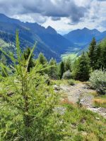 Abstieg vom Pfitzscherjoch Haus - Kematen