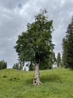 1. Etappe: Garmisch-Mittenwald