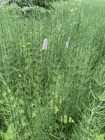 1. Etappe: Garmisch-Mittenwald