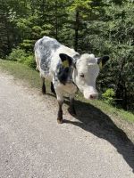 2. Etappe: Begegnungen unterwegs