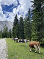 2. Etappe: Aufstieg zum Solsteinhaus