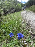 2. Etappe: Aufstieg zum Solsteinhaus