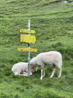 2. Etappe: Aufstieg zum Solsteinhaus