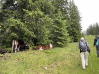 3. Etappe: Aufstieg zum Birgitzköpfl