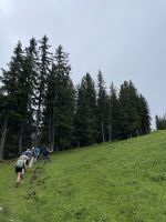 3. Etappe: Aufstieg zum Birgitzköpfl