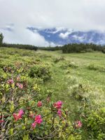 3. Etappe: Aufstieg zum Birgitzköpfl