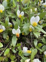 3. Etappe: über das Halsl zur Pfarrachalm