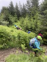 3. Etappe: Abstieg nach Telfes