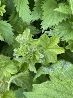 Entdeckungen unterwegs