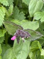 Entdeckungen unterwegs