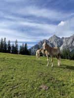 4. Etappe: Start am Serlespark