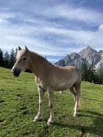 4. Etappe: Start am Serlespark