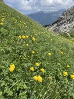 4. Etappe: Aufstieg zum Blaser