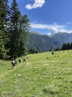 4. Etappe: Anstieg ins Gschnitztal