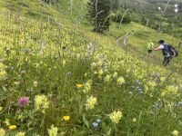 6. Etappe: Obernberger See - Sandjoch - Pflerschtal/Südtirol