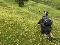 6. Etappe: Obernberger See - Sandjoch - Pflerschtal/Südtirol