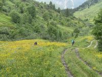 6. Etappe: Obernberger See - Sandjoch - Pflerschtal/Südtirol