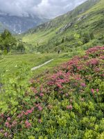 6. Etappe: Obernberger See - Sandjoch - Pflerschtal/Südtirol