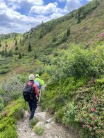 6. Etappe: Abstieg ins Pflerschtal