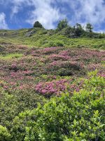 6. Etappe: Abstieg ins Pflerschtal