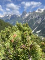 7. Etappe: auf dem Dolomieu-Weg