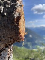 7. Etappe: auf dem Dolomieu-Weg