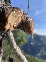 7. Etappe: auf dem Dolomieu-Weg