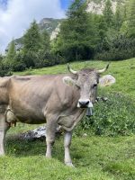 7. Etappe: auf dem Dolomieu-Weg