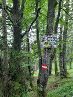 Grüne Grenze Deutschland - Österreich