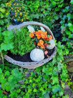 Impessionen am Fischerwirt