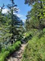 Wanderweg Mariensteig