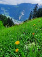 Blick nach Mayrhofen