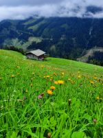 Dorf Stein am Brandberg