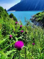 Schlegeis Speicher Stausee