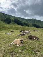 auf dem Riezler Panoramaweg nach Riezlern