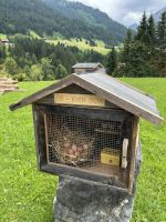 weitere Wanderung nach Mittelberg