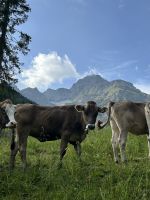 Aufstieg zum Hochalppass