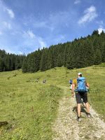 Aufstieg zum Hochalppass