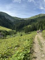 Aufstieg zum Hochalppass