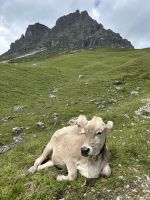 Abstieg von der Widdersteinhütte