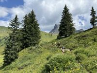 anspruchsvoller Abstieg zum Hahntennjoch