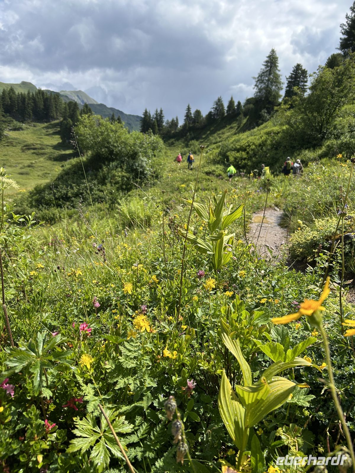 anspruchsvoller Abstieg zum Hahntennjoch