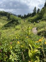 anspruchsvoller Abstieg zum Hahntennjoch