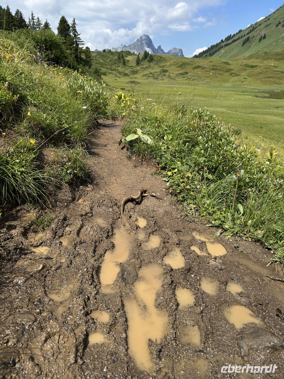 Matschiger Abstieg zum Hahntennjoch