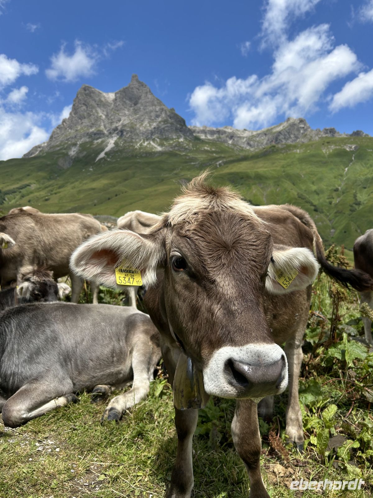 Aufstieg zum Simmel (1.751 Meter)