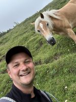 neugierige Haflinger im Plötzingtal