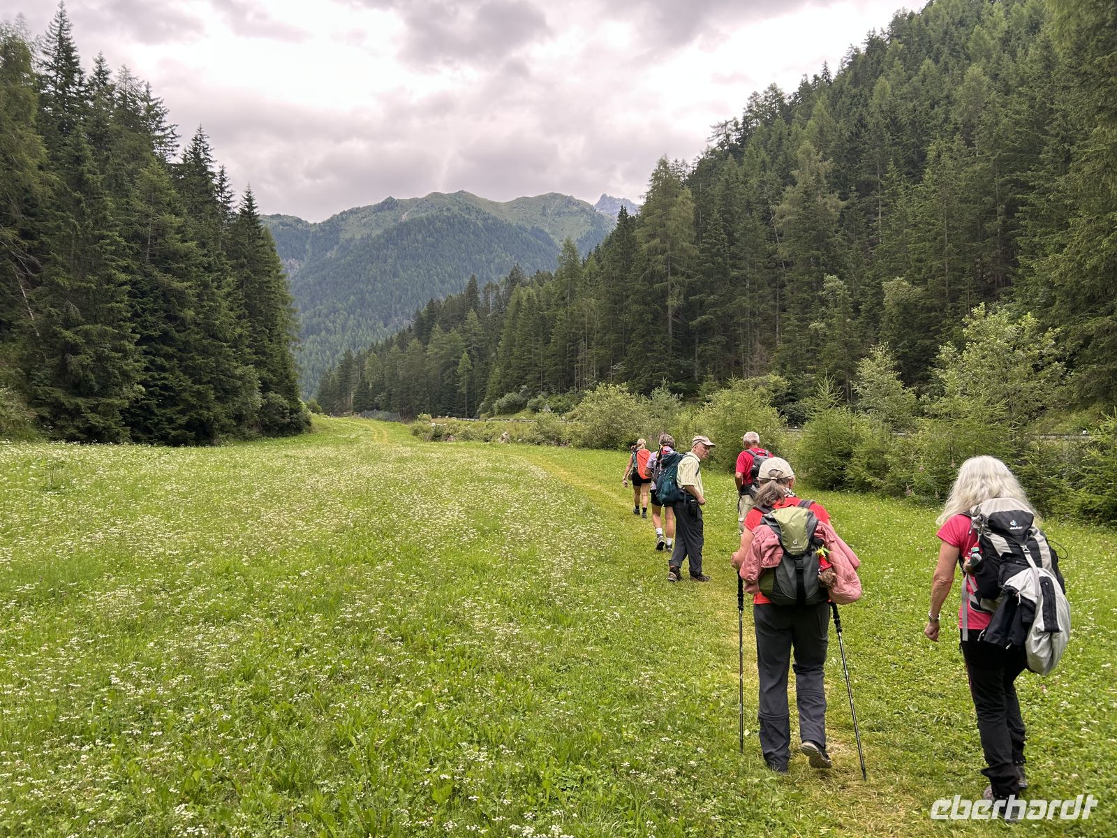 Wiesenweg nach Niederthai