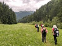 Wiesenweg nach Niederthai