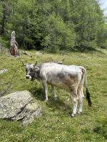 Aufstieg zur Oberen Gostalm